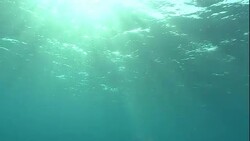 Sunbeams filter through water where a shark swims past. Stock Footage