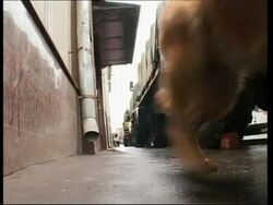 Demo preps, security ahead of the start of the demo Instructional Video