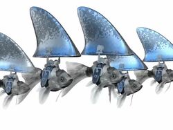 (Loop) Black Goldfishes disguised as Sharks Stock Footage