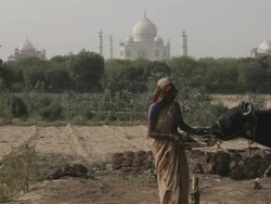 WS Woman walking through field with Taj Mahal in background / Agra, India Stock Footage