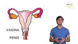 What is Reproduction? Part 2 Instructional Video