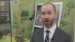 Original Winnie The Pooh Refurbished News Clip