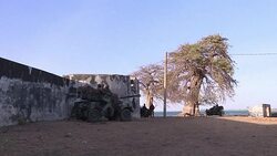 CLEAN : ECOWAS troops secure Gambia News Clip