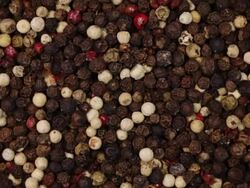 Peppercorns mix. Kitchen herbs background Stock Footage