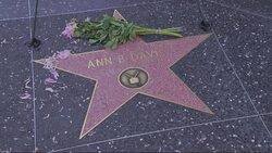 Flowers are placed on the Hollywood Walk of Fame star for "Brady Bunch" actress Ann B. Davis News Clip