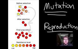 Natural Selection Instructional Video