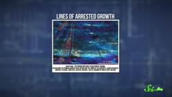 Could Dinosaurs Have Been Warm-Blooded? Instructional Video