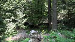 Slovenia, Base 20 - Partisan camp from WW2 Instructional Video