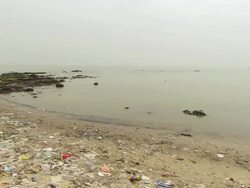 MS TD Polluted beach / Guinea-Conakry, Guinea Stock Footage
