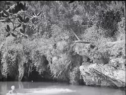 Helen Meany News Clip