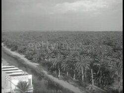 Tunisia Farmland Instructional Video