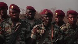 Cameroon troops arrive after president dismisses son as acting defence minister News Clip