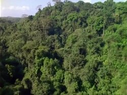 Aerial over Panama rainforest, Barro Colorado Island (BCI).  Panama. Stock Footage