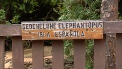 Galapagos Islands have new star tortoise Instructional Video