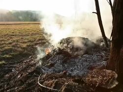 HD-Burning Firewood Heap Stock Footage