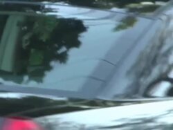 Michael Jackson Tribute At Jackson Family Home Stock Footage