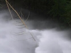 HD Flood Waves Destroying Trees Slow Motion Stock Footage