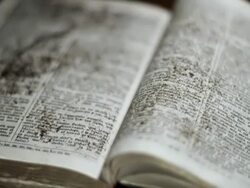 Dusting off the Bible Stock Footage