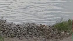 Rio Grande river on US Mexico border News Clip