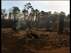 USA - Forest Fires in South Carolina News Clip