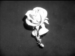 RISE AND SHINE News Clip