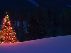 Christmas tree glowing outdoors Under the Northern Lights Stock Footage