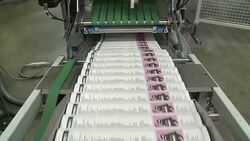 CLEAN : Charlie Hebdo anniversary edition goes to print News Clip