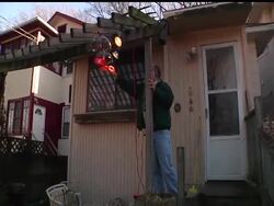 They call her 'Rufous,' named for the type of hummingbird she is. But why in the world did she come to the Chicago area in winter? News Clip