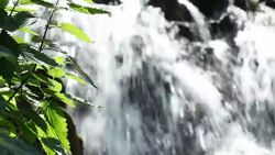 beautiful cascading + Audio Stock Footage