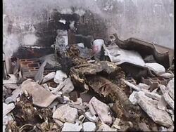 YUGOSLAVIA: KOSOVO: SUSPECTED MASSACRE SITE DISCOVERED News Clip