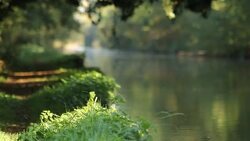 Under A Shady Tree Along The Llangollen Canal Stock Footage