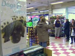 Police officers on day to day operations. News Clip