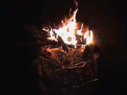 Bonfire in the night Stock Footage