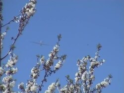 glider Stock Footage