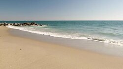 Topical beach Stock Footage