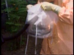 Zaire - Swedish Medics Join Ebola Mission News Clip