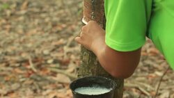 Tapping Stock Footage