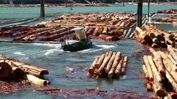 Logging Industry Squamish Stock Footage