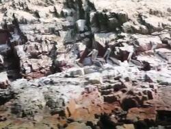 MS POV side Shot of sea lion on pisco bay / Paracas, Nazca, Peru Stock Footage