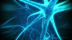 Neuron mediacal loopable animation Stock Footage