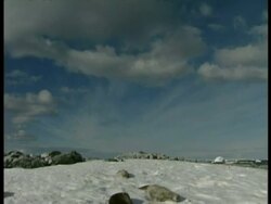 WA group of seals lying on ice in sun, Antarctica Stock Footage