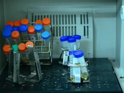 Scientist and bio lab experiment Stock Footage