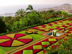 Botanical Gardens Stock Footage