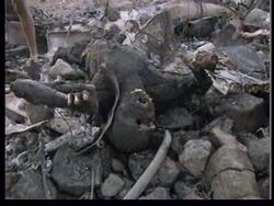 ERITREA: FIGHTING CONTINUES AS TROOPS SHOOT DOWN ETHIOPIAN GUNSHIP News Clip