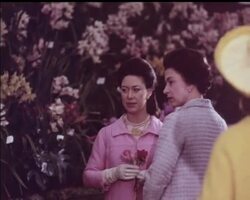 Everything in the Garden's Lovely. News Clip