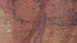 Hikers have a helping hand to carry the load Instructional Video