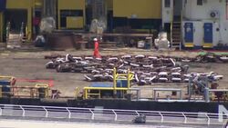 Preview to trial of captain of cruise ship that struck reef, killing 32 people News Clip