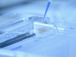 Scientist and bio lab experiment Stock Footage
