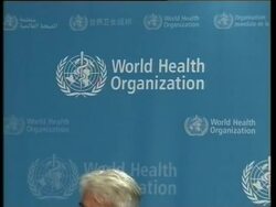 WHO briefing on swine flu outbreak News Clip