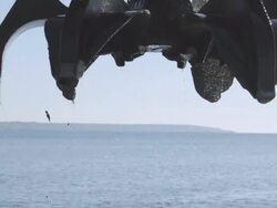 Coast digger Stock Footage